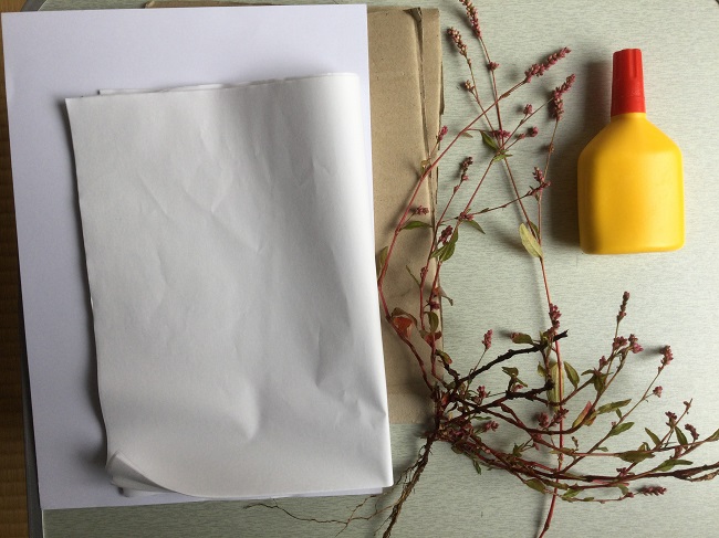 簡単にできる押し花の使い道にオススメ メッセージカードの作り方 できルンです